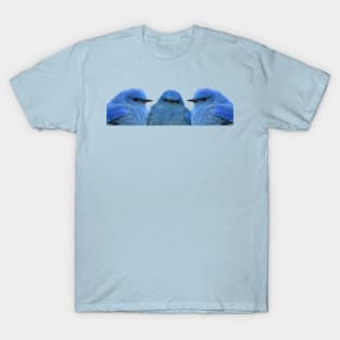 Bluebird Trio T-Shirt